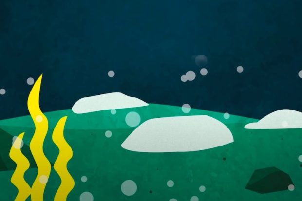 Deep-sea microbes have not evolved in two billion years