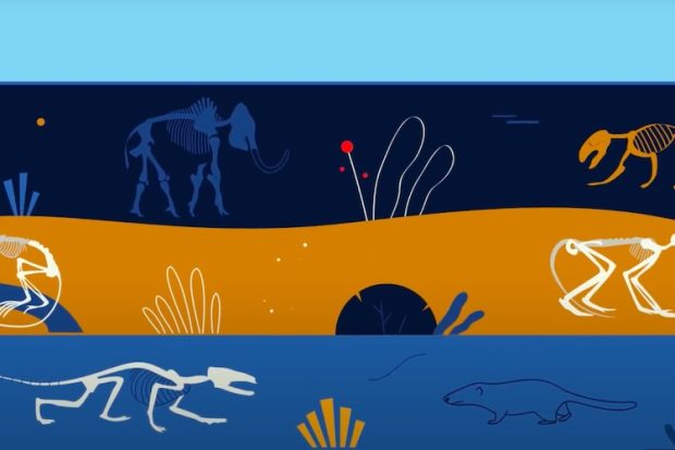 New Fossils from Kenya Precise Hippo Origin